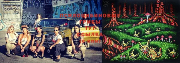 мдма Пролетарск