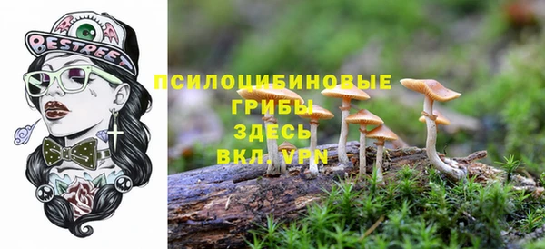 наркотики Алексеевка